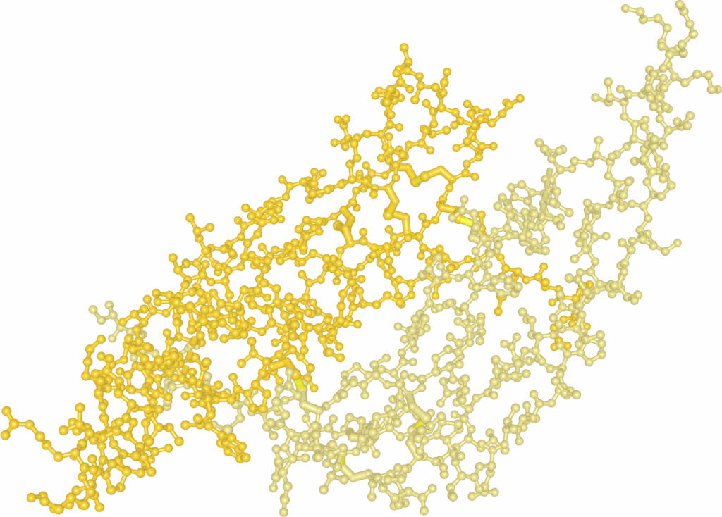 PDGF-BB is a protein that drives cell growth, proliferation and extracellular matrix (ECM) deposition, critical for angiogenesis, bone formation, blood vessel repair and wound healing.