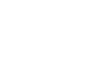 LRM Aesthetics